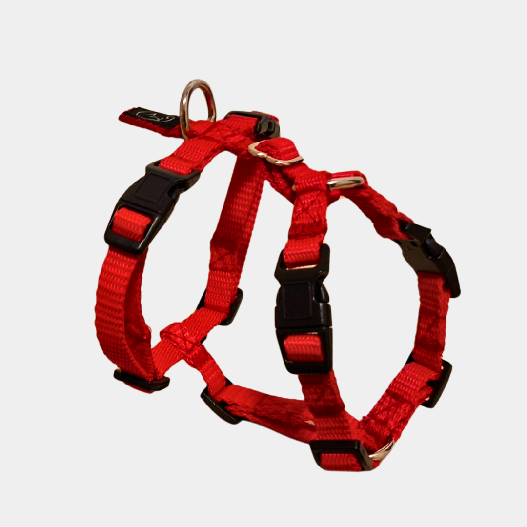 canuzzo dog (& cat) harness xxs